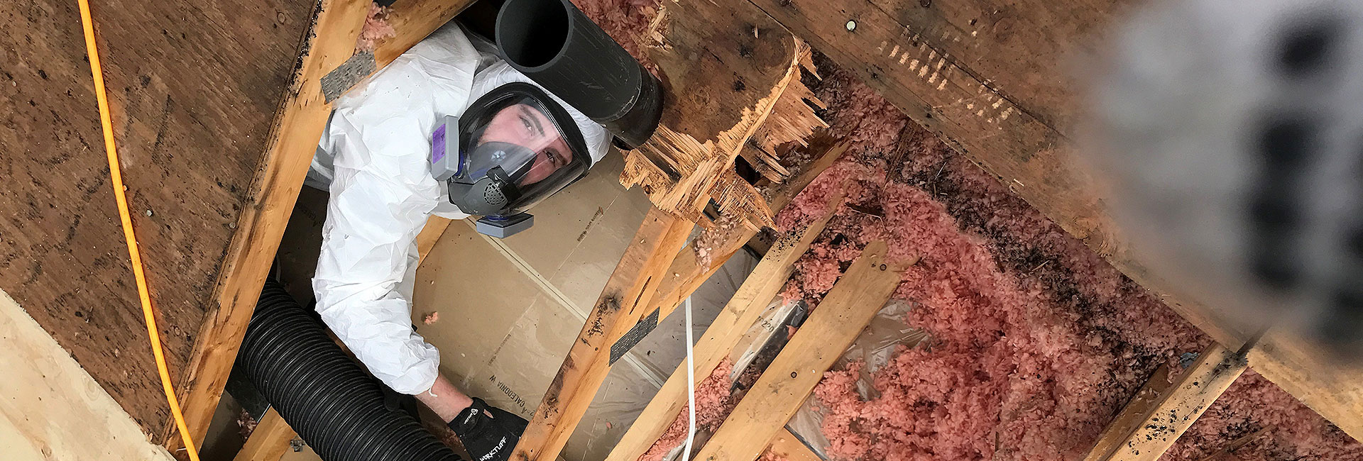 insulation removal and mould remediation